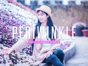 periwinkle mobile & desktop lightroom presets v2 (2) 86448