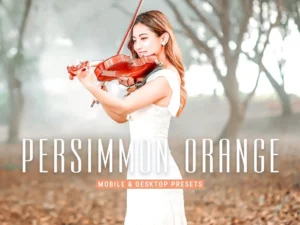 persimmon orange pro lightroom presets (1) 85718
