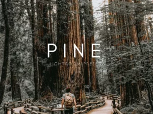 pine warm moody outdoor wedding lightroom presets (9) 86484