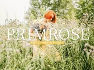 primrose mobile & desktop lightroom presets (4) 86674