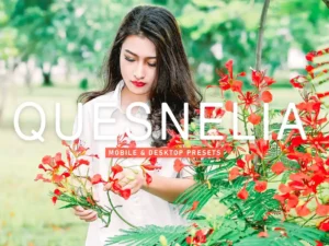 quesnelia mobile & desktop lightroom presets (3) 86665