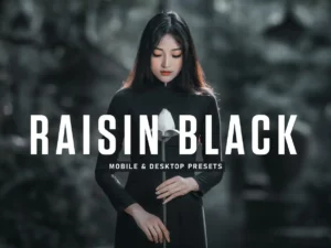 raisin black mobile & desktop lightroom presets (2) 85501
