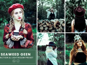 seaweed photoshop action and lightrom presets (1) 87347