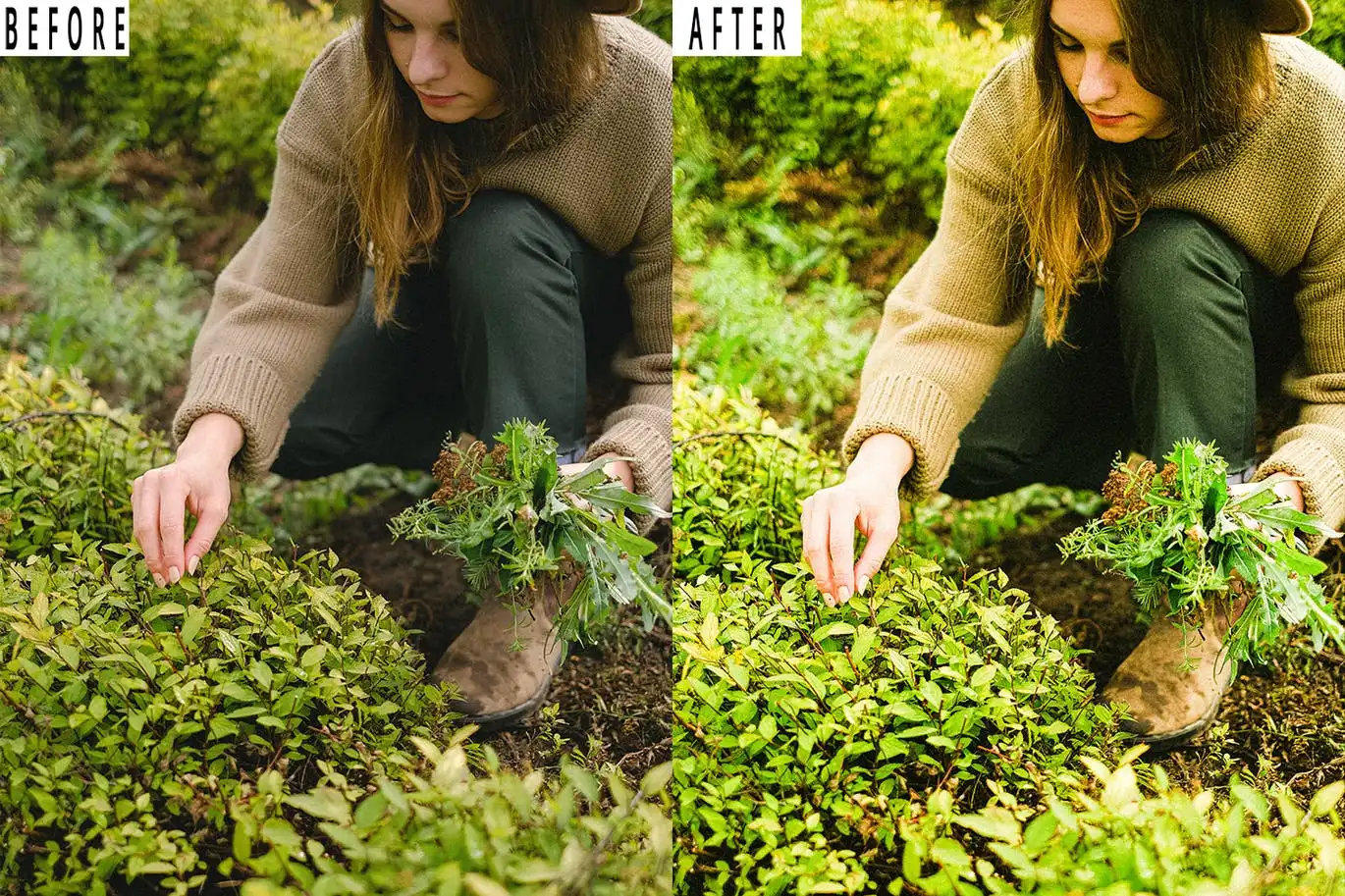Soft Garden Tone Photoshop Action & Lightrom Pres 4 soft garden tone photoshop action & lightrom pres (2) 87806