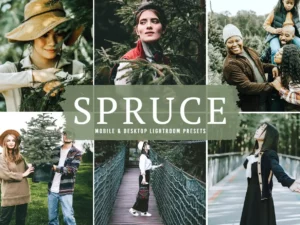 spruce mobile & desktop lightroom presets (5) 86738