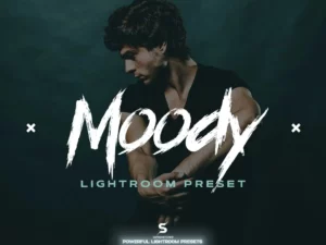 studio moody lightroom preset (7) 88239