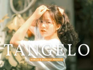 tangelo mobile & desktop lightroom presets (3) 85647