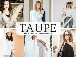 taupe mobile & desktop lightroom presets (2) 86161