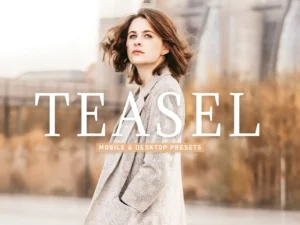 teasel mobile & desktop lightroom presets (2) 85754