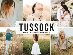 tussock mobile & desktop lightroom presets (1) 86516