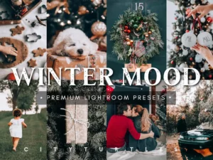 winter mood holiday lightroom presets (4) 86778