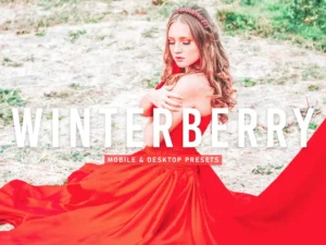 winterberry mobile & desktop lightroom presets (4) 86317