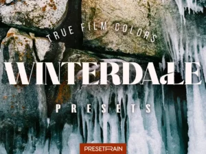 winterdale lightroom presets (4) 87918