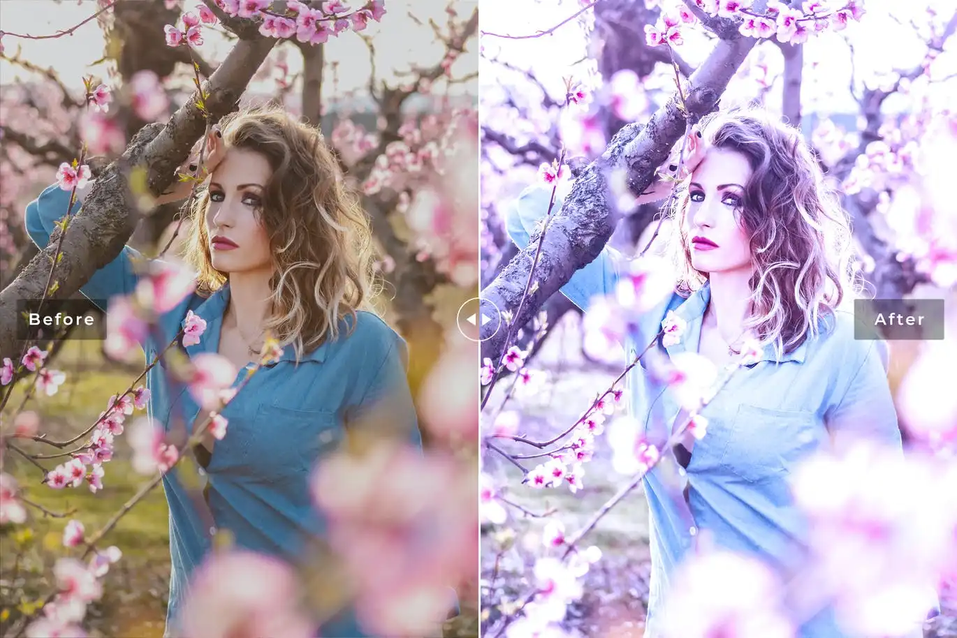 Wisteria Mobile & Desktop Lightroom Presets V2 4 wisteria mobile & desktop lightroom presets v2 (3) 86355