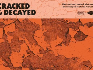 cracked & decayed02 93482