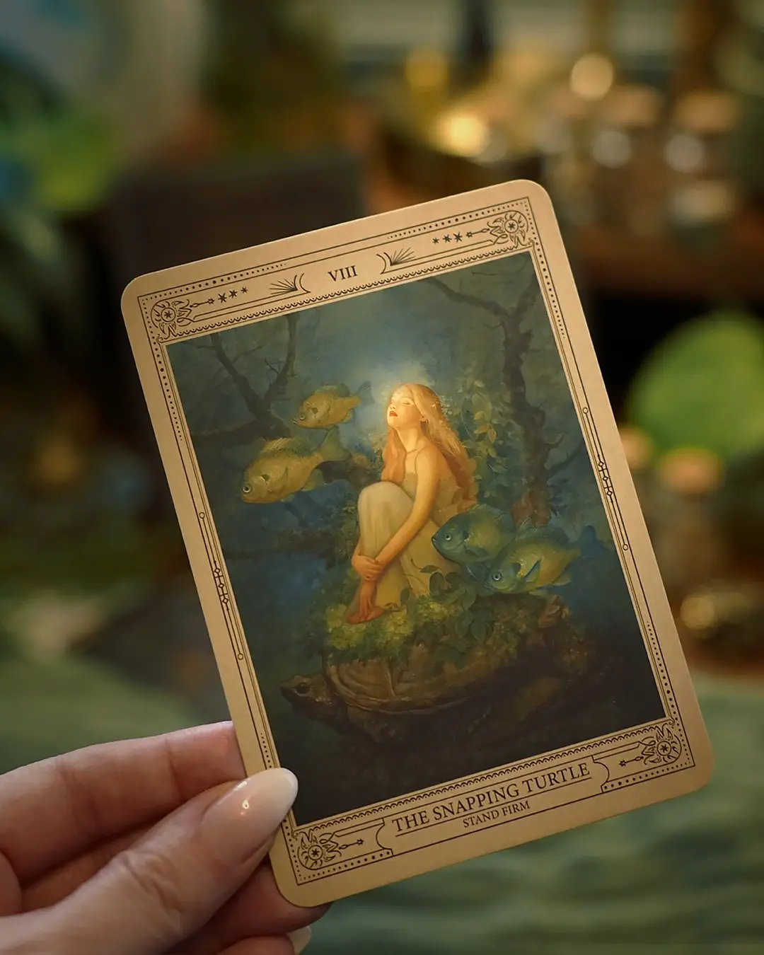 The Sacred Wood Oracle Deck and Guidebook 22 the sacred wood oracle deck and guidebook (19) 93577