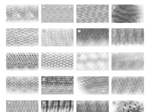 37 animal scale brushes for clipstudiopaint photoshop procreate 3