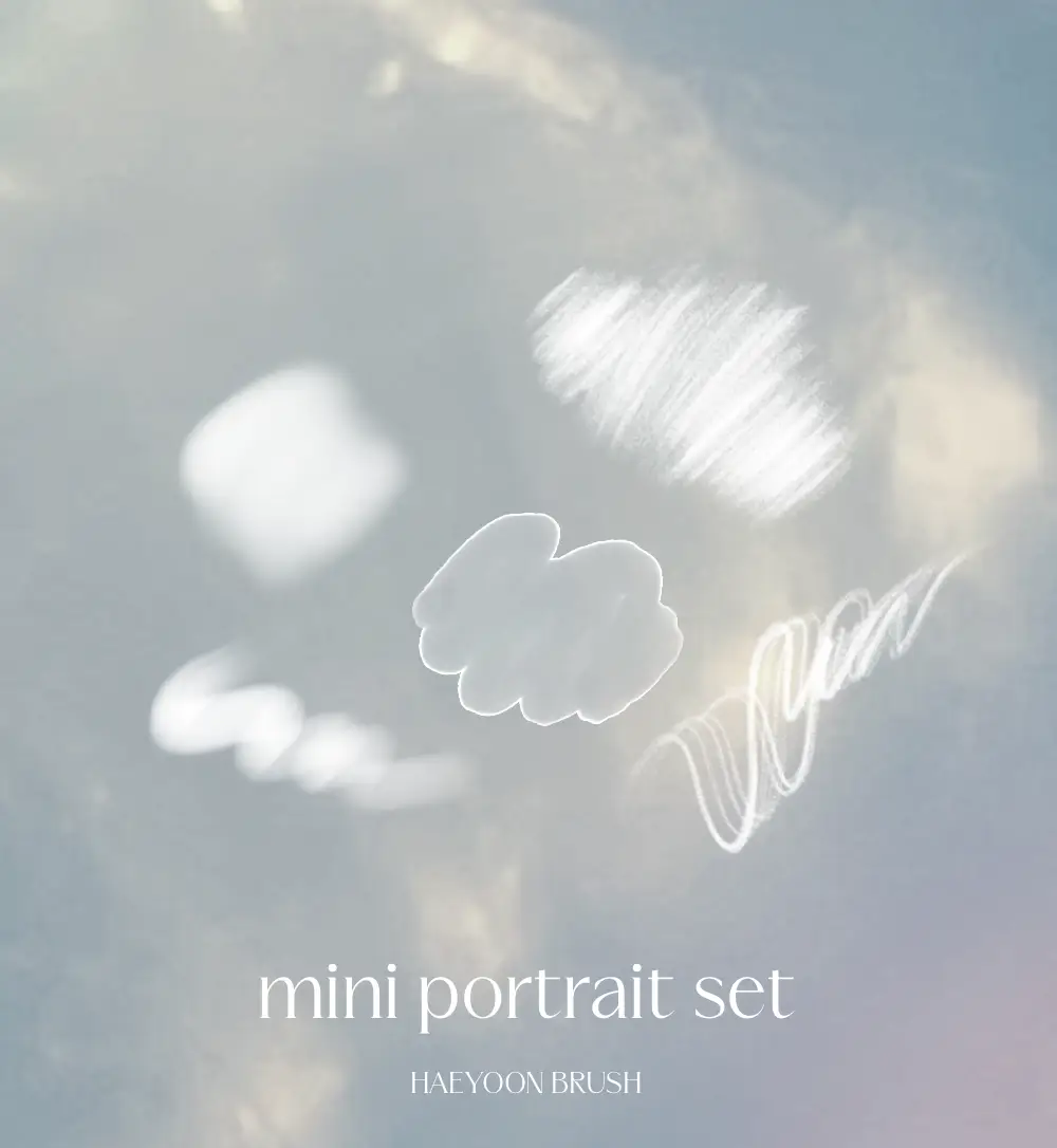 HAEYOON Mini portrait brush set (5) for procreate