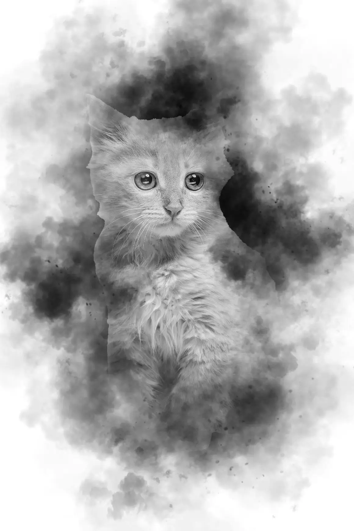 150 Photoshop Fog Brush & Png Bundle 8 150 photoshop fog brush png bundle 10