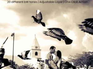 20 black white tone photoshop action