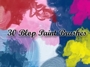 30 blop paint brushes 2