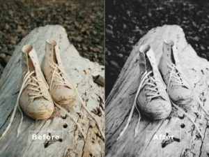 artistic moody photoshop action 3