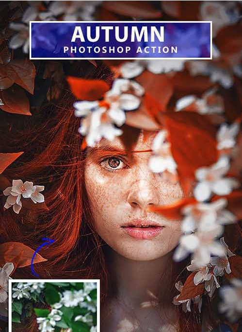 Autumn Photoshop Action