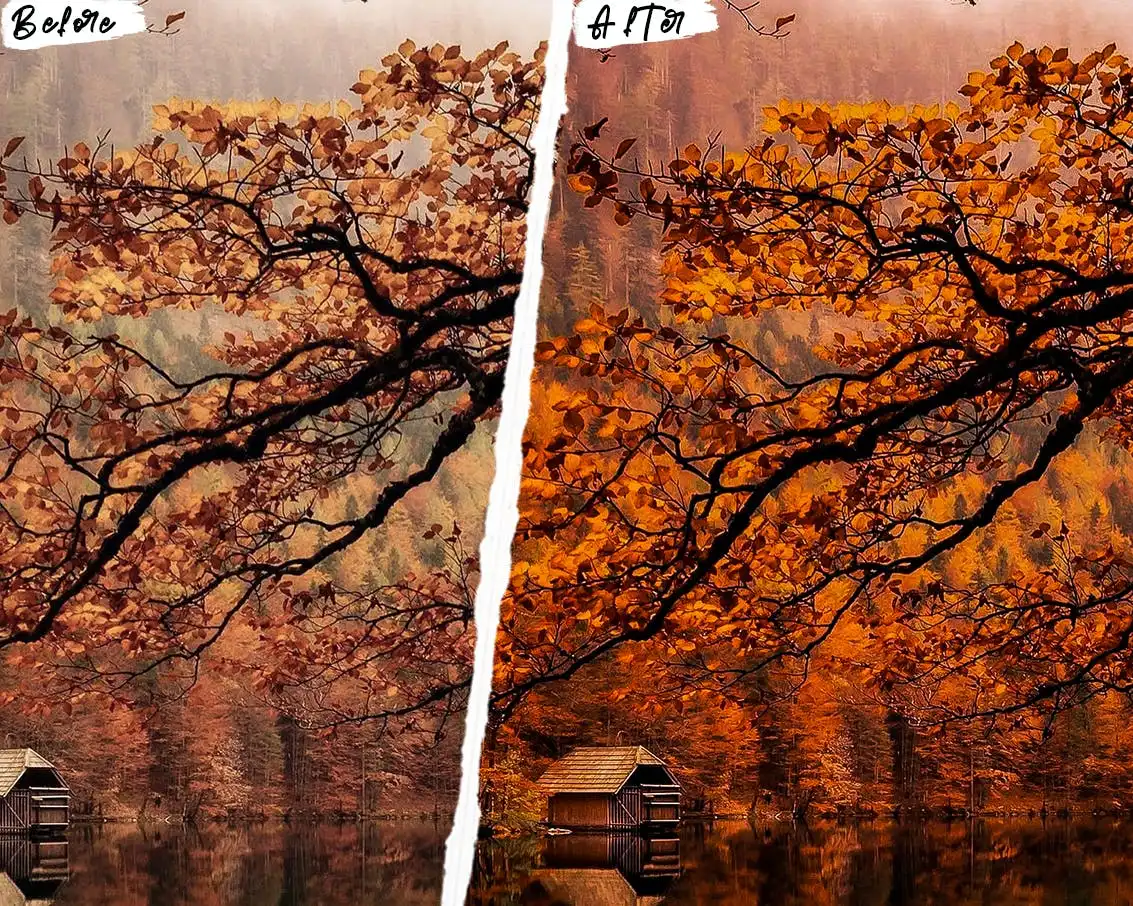 Autumn Photoshop Actions & Lightroom Presets 7 autumn photoshop actions lightroom presets 3