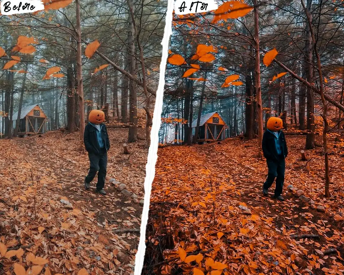 Autumn Photoshop Actions & Lightroom Presets 6 autumn photoshop actions lightroom presets 4