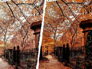 autumn photoshop actions lightroom presets 6