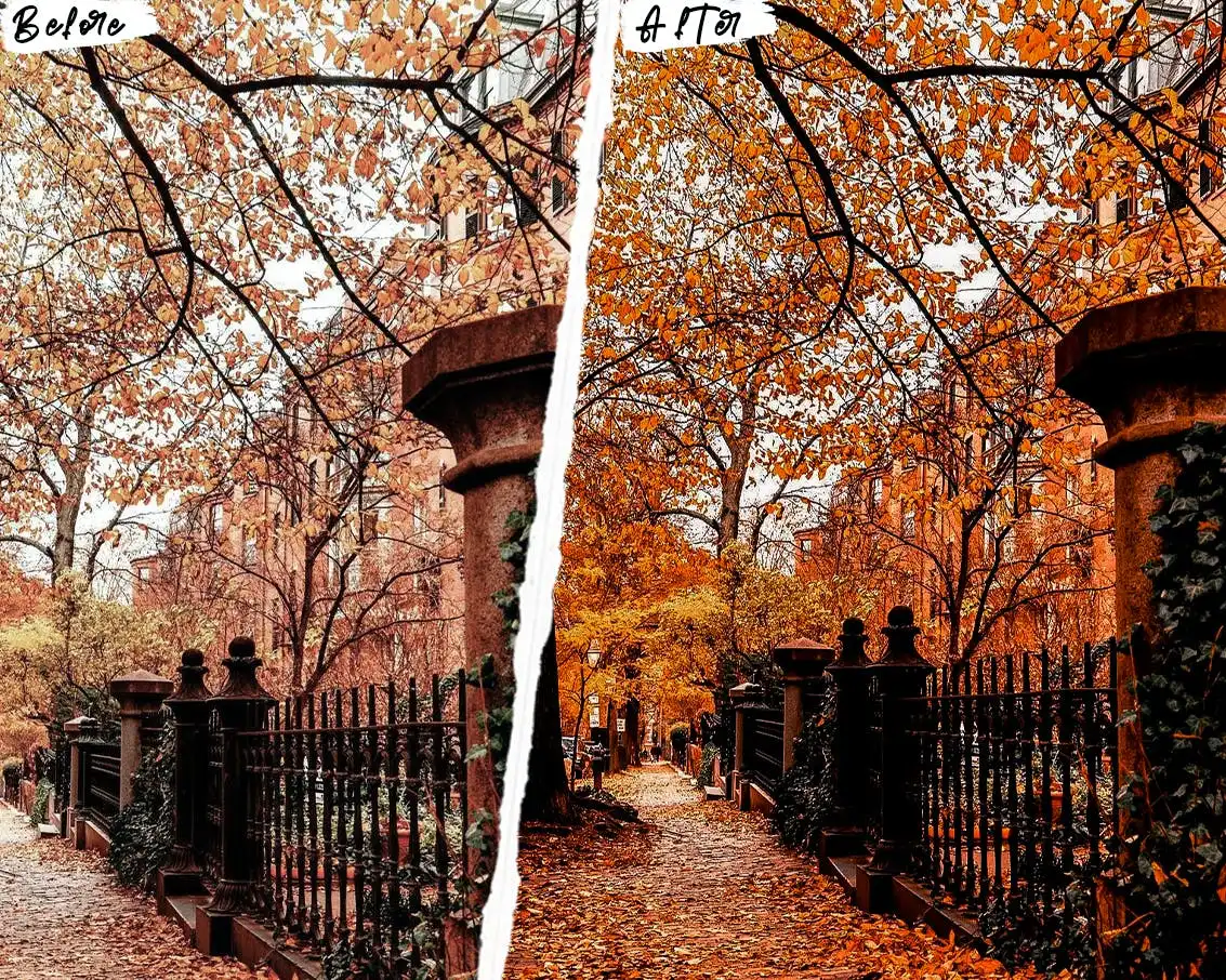 Autumn Photoshop Actions & Lightroom Presets