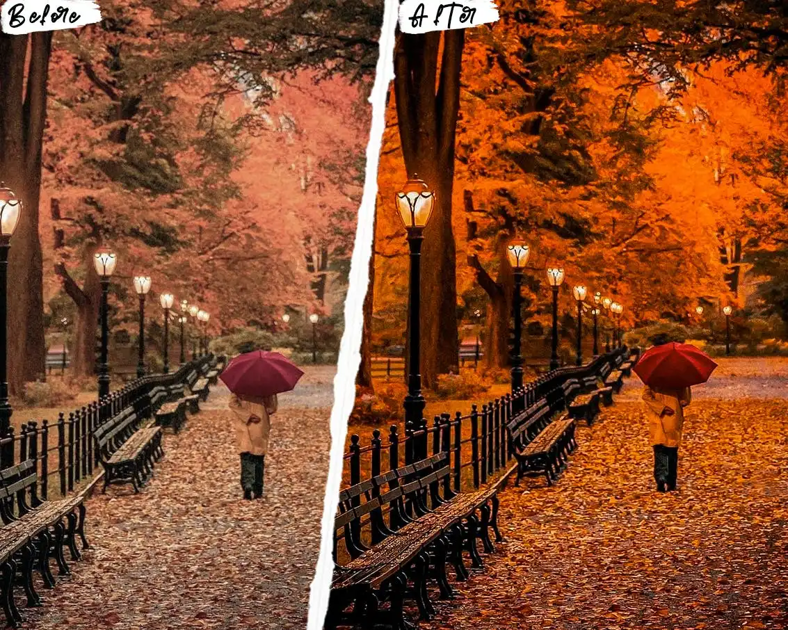 Autumn Photoshop Actions & Lightroom Presets 4 autumn photoshop actions lightroom presets 7