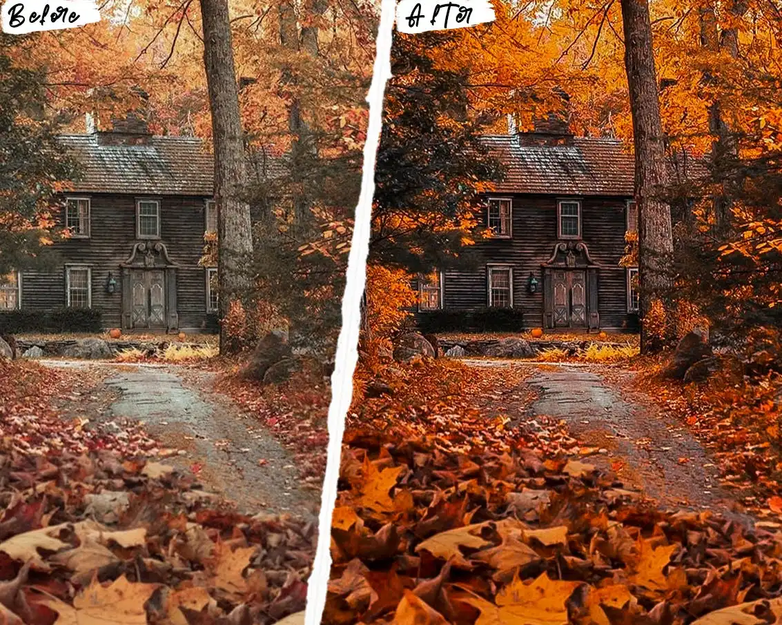 Autumn Photoshop Actions & Lightroom Presets 8 autumn photoshop actions lightroom presets