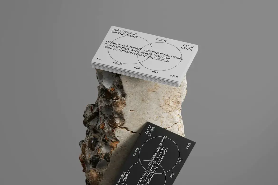 Business Card Mockup 2