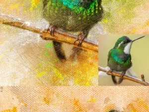 canvaso photoshop action
