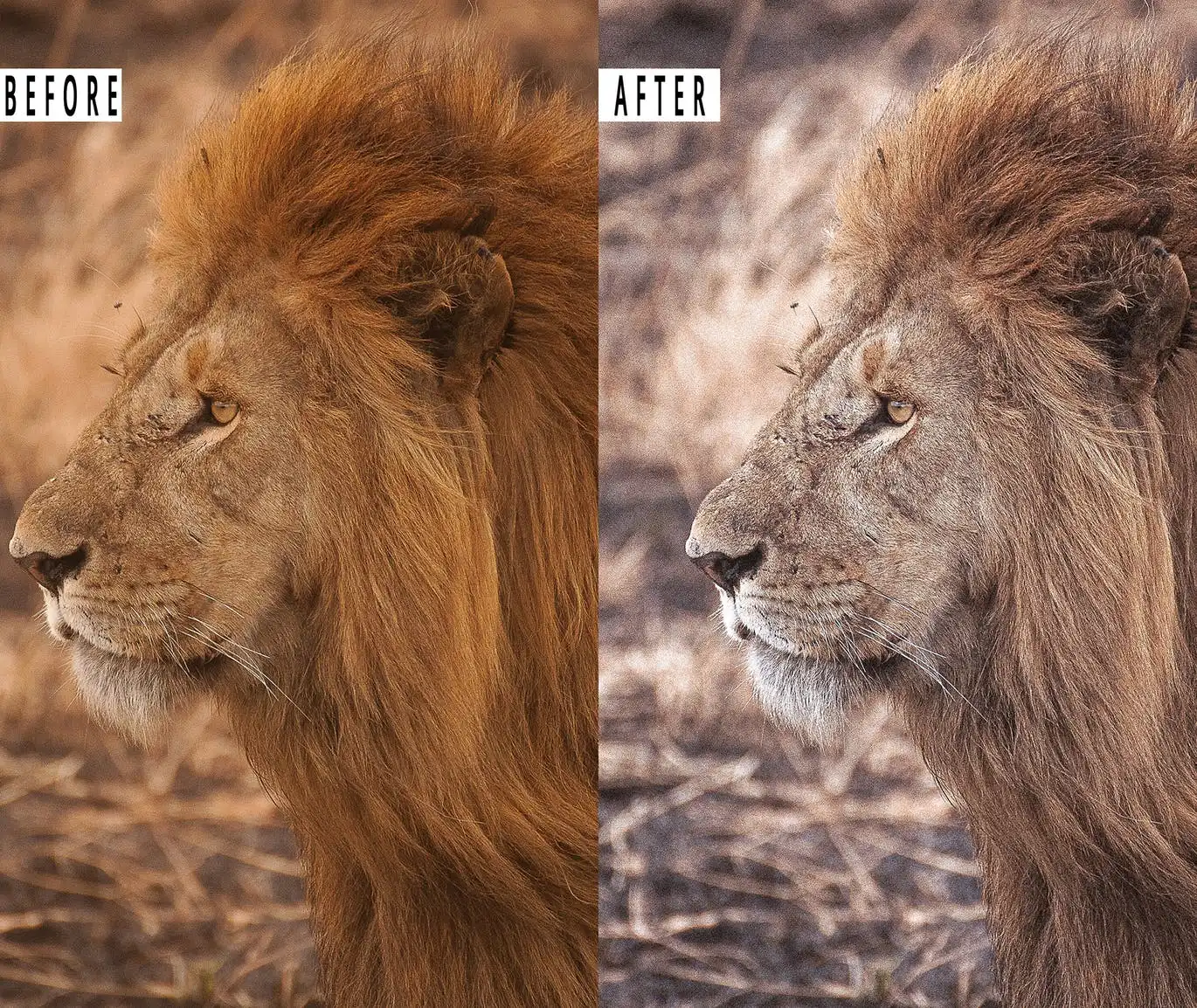 Cinematic Effect Photoshop Action & Lightrom 5 cinematic effect photoshop action lightrom 2