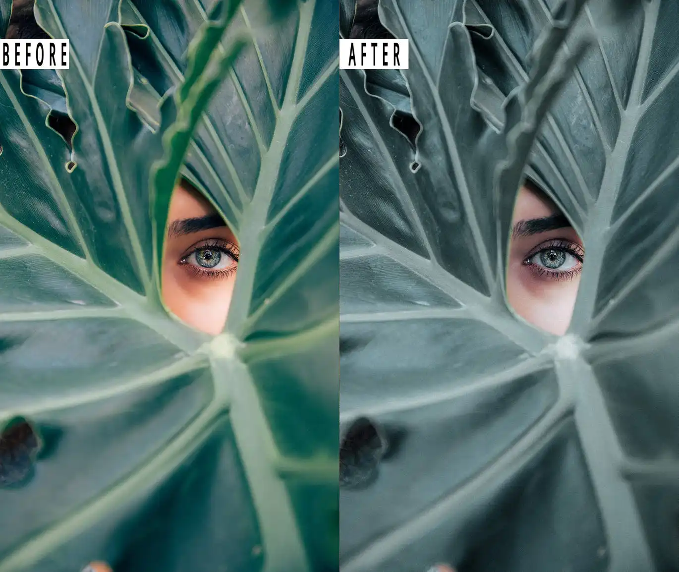 Cinematic Effect Photoshop Action & Lightrom