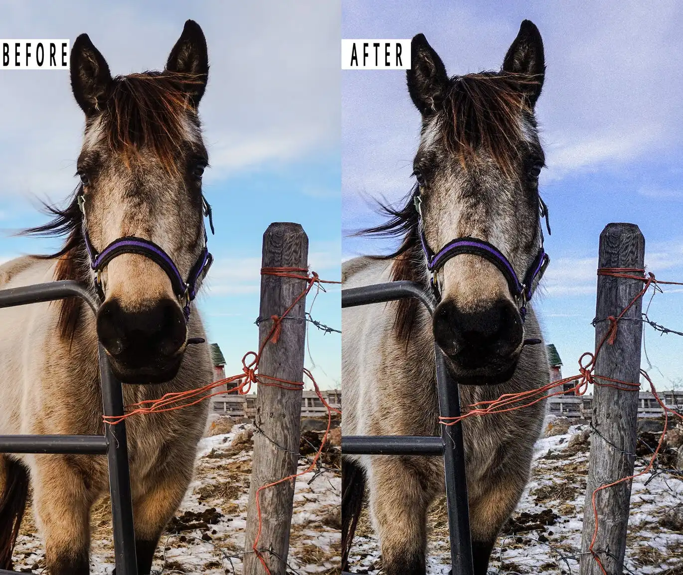 Cinematic Effect Photoshop Action & Lightrom 7 cinematic effect photoshop action lightrom 5