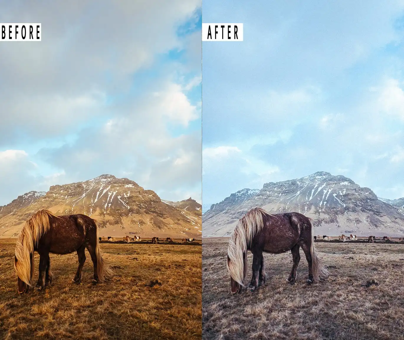 Cinematic Effect Photoshop Action & Lightrom 4 cinematic effect photoshop action lightrom 6