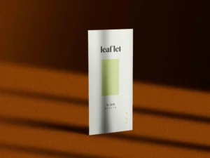 dl leaflet mockups 1