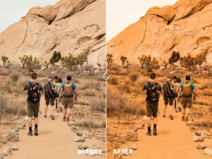 desert vibes tones action lightrom presets 5