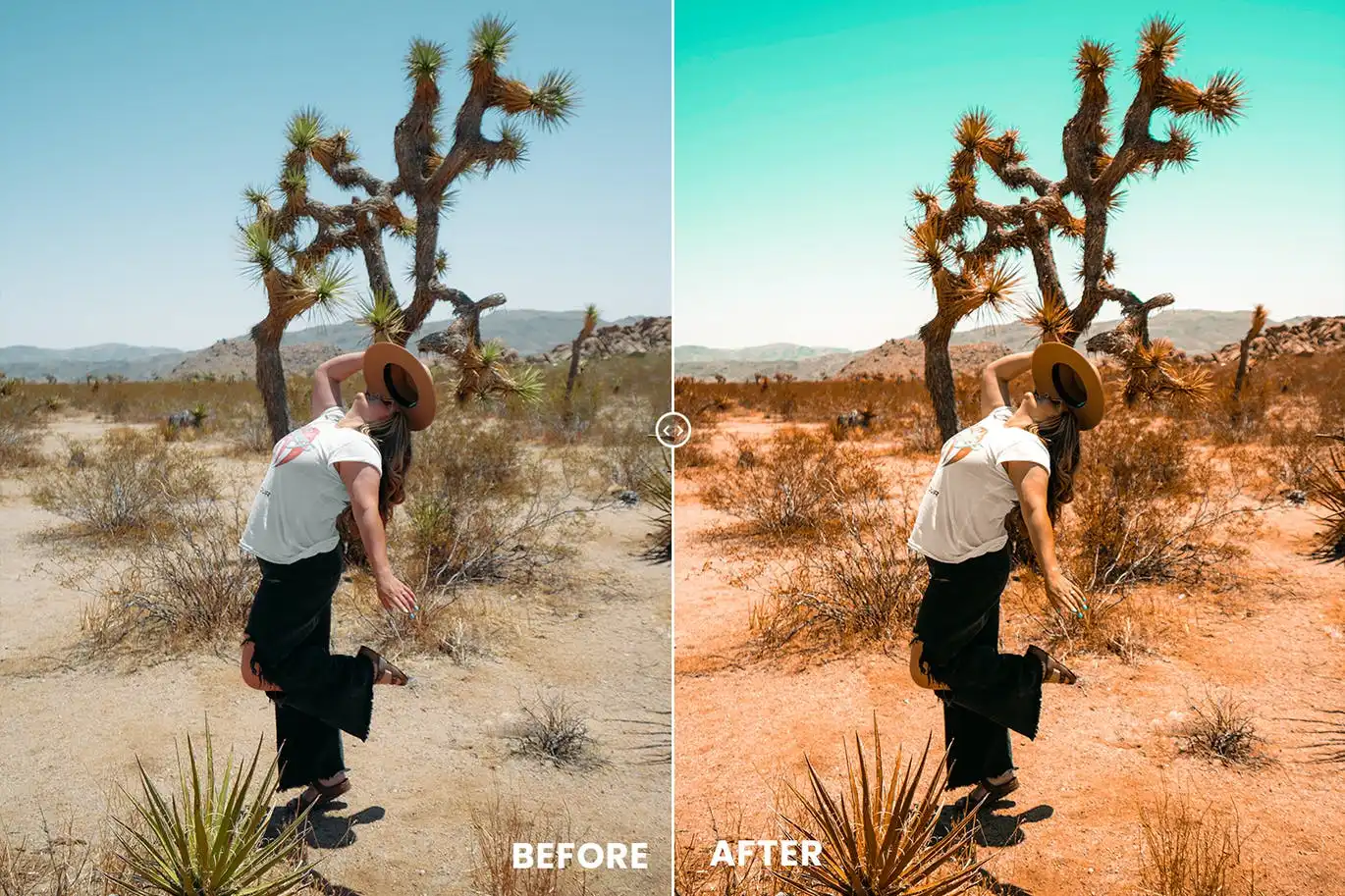Desert Vibes Tones Action & Lightrom Presets 6 desert vibes tones action lightrom presets 6
