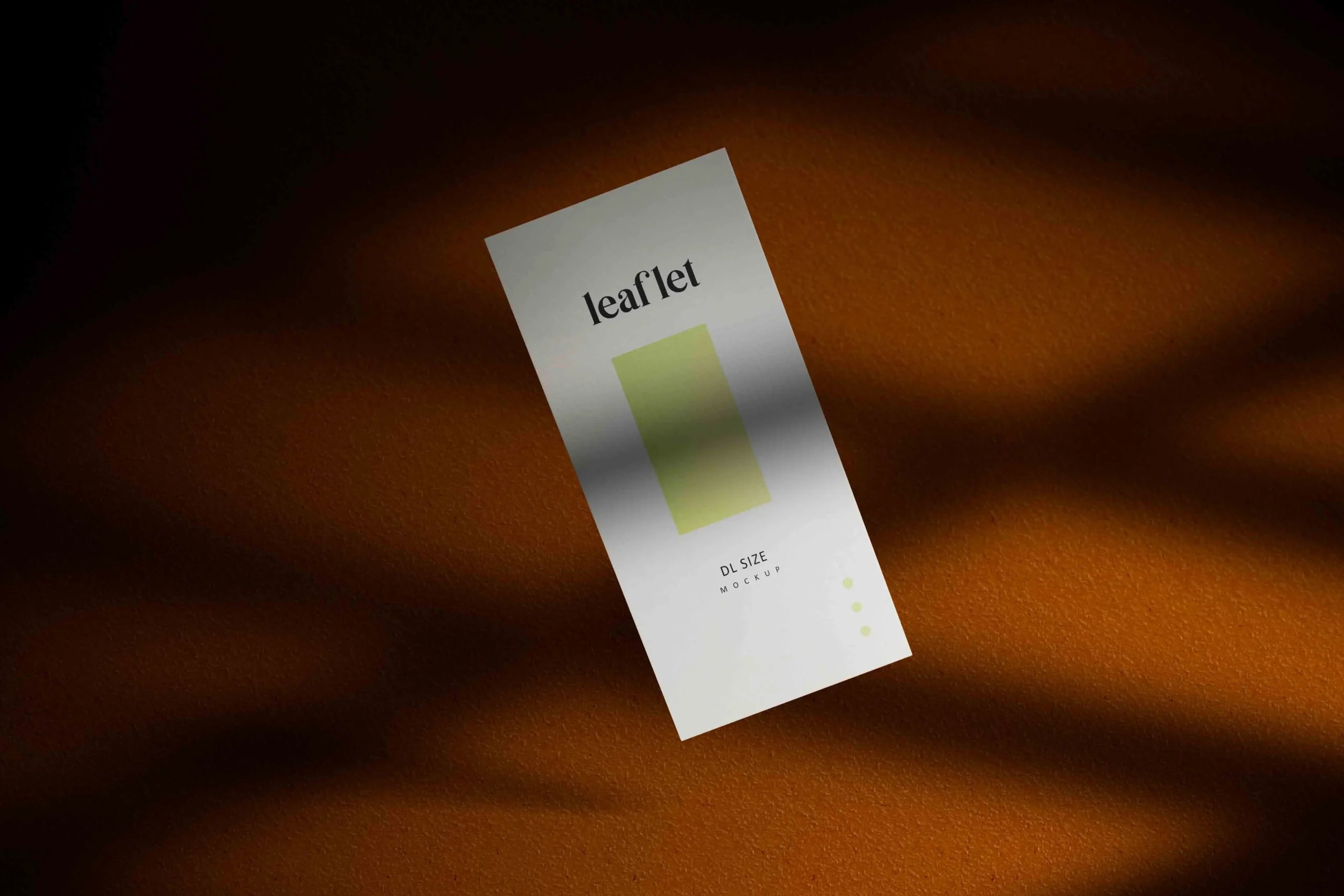 Dl Leaflet Mockups 3 dl leaflet mockups 5