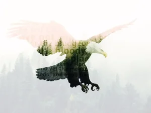 double exposure photoshop action 5
