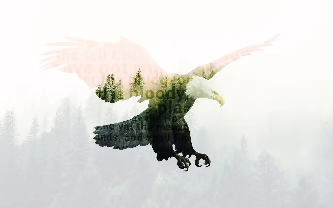 Double Exposure Photoshop Action