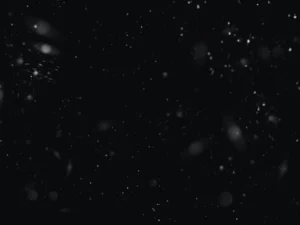 dust particles brushes 4