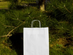 earth day recycled bags and boxes mockup 6