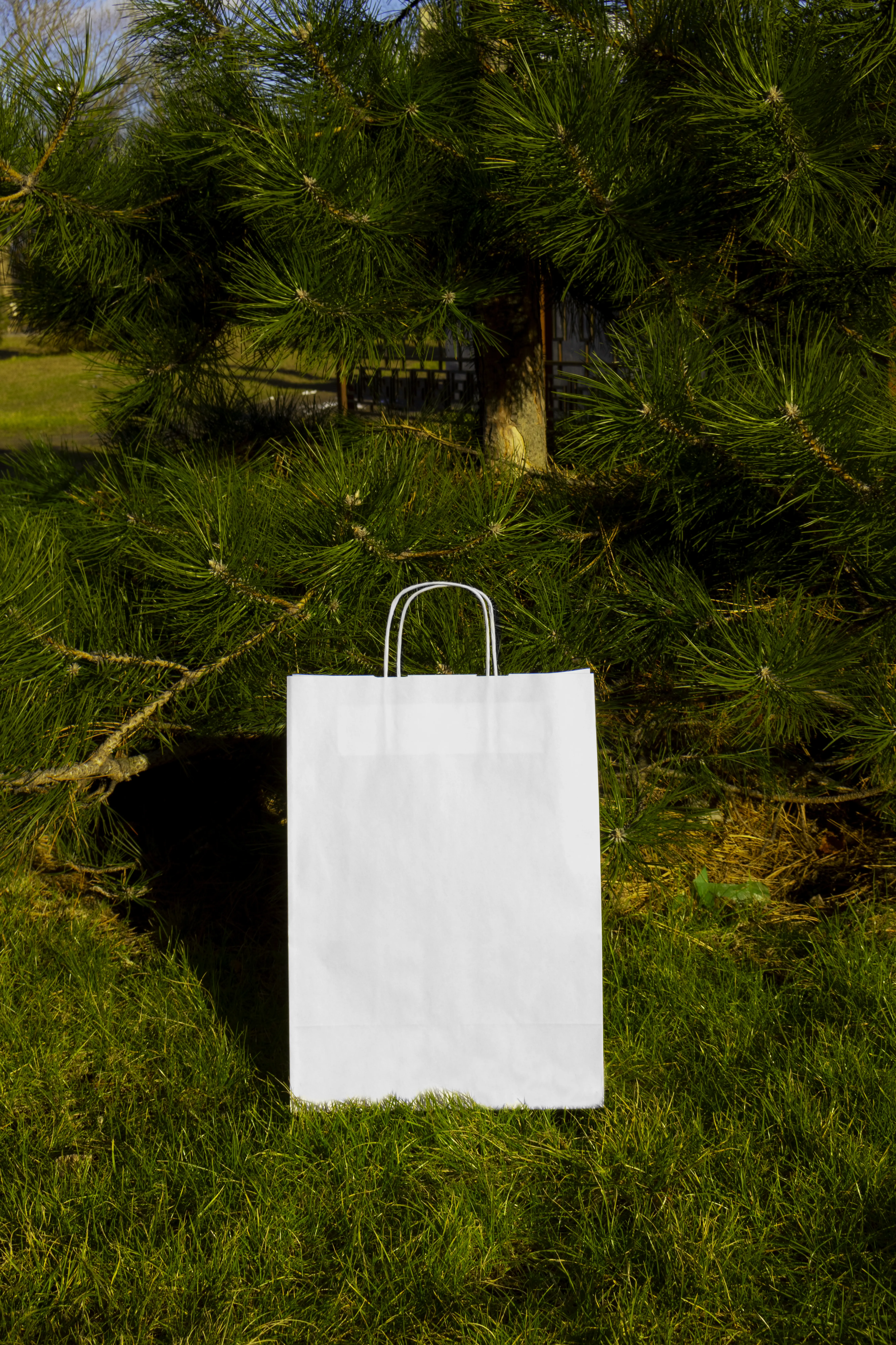 Earth Day-Recycled Bags And Boxes Mockup