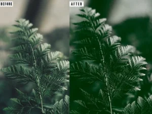 green photoshop action lightrom presets