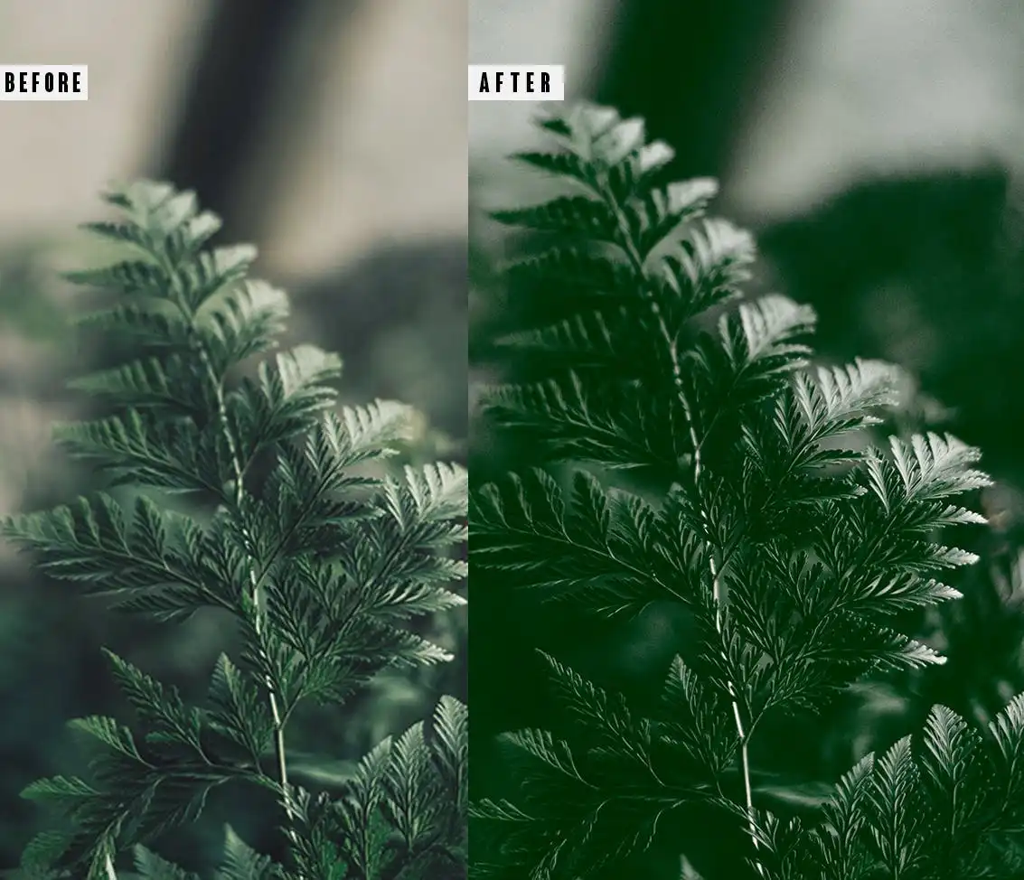 Green Photoshop Action &amp; Lightrom Presets